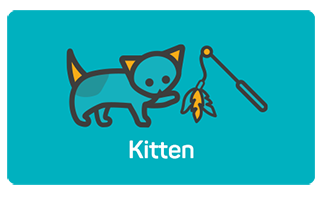 Kitten