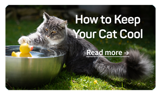 Cat Hairball Guide