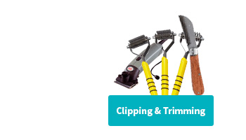 Clipping & Trimming