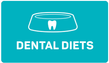 dental diets