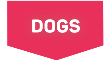 Special Offers For Dogs