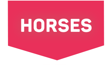 Special Offers For Horses