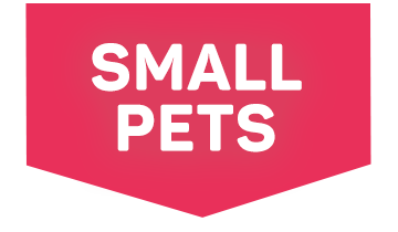 Special Offers For Small Animals