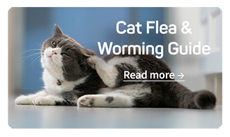 Cat Flea & Worming Guide