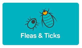 Fleas & Ticks