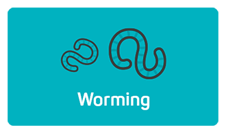 Worming