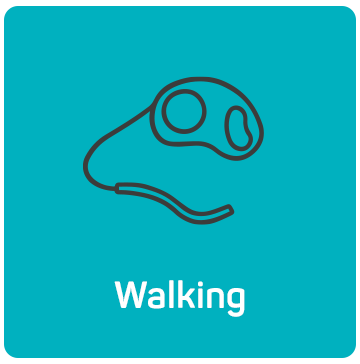 Walking