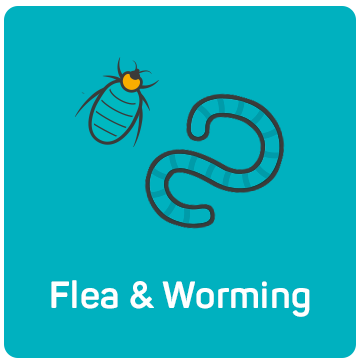 Flea & Worming
