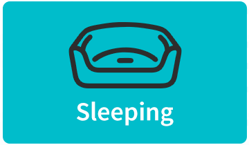 Sleeping