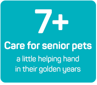 Senior Pet Care