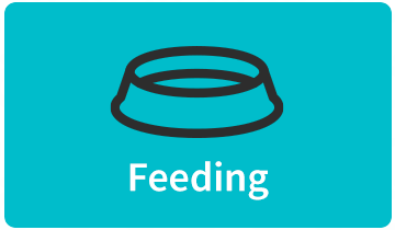 Feeding