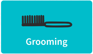 Grooming