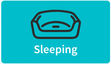 Sleeping