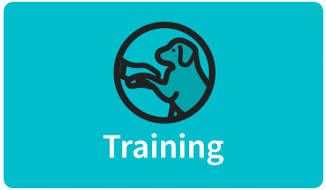 Training