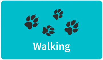 Walking