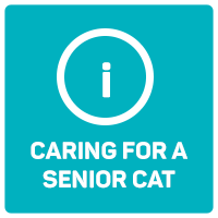 Caring for a senior cat