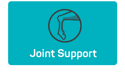 Joint Support