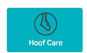 Hoof Care